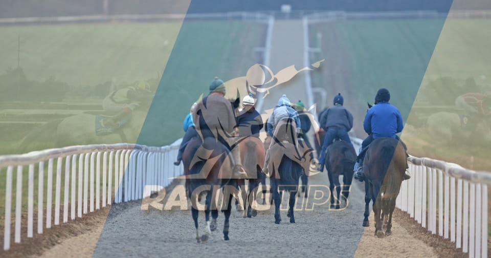 Strategies for Sustainable Horse Racing Practice