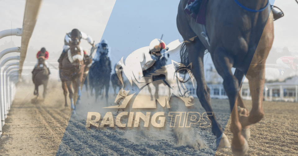 Understanding Bankroll Management