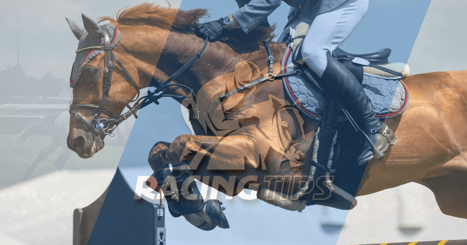 Tracking and Analysing Your Bets