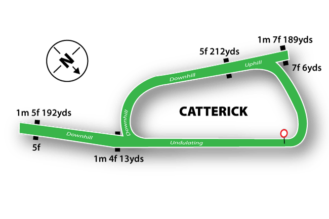 Catterick Racecourse Tips