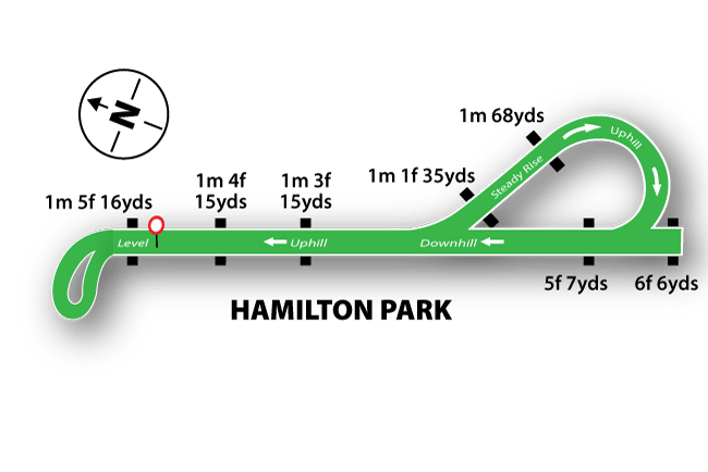 Hamilton Racecourse Tips