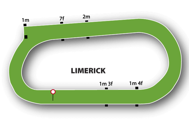 Limerick Racecourse Tips