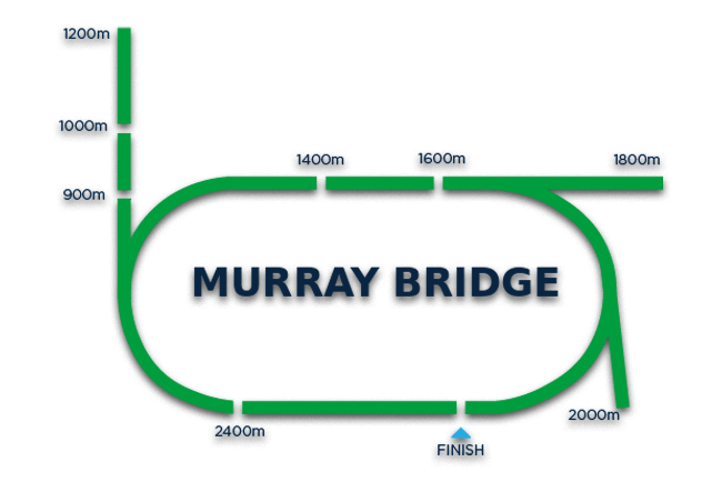 Murray Bridge Racecourse Tips