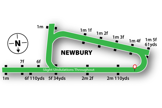 Newbury Racecourse Tips