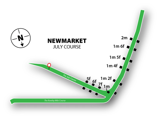 Newmarket Racecourse Tips