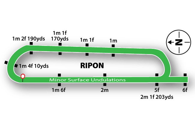 Ripon Racecourse Tips