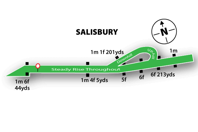 Salisbury Racecourse Tips