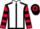 Horse Profile - Bomb Squad Horse Profile - Bomb Squad