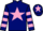 Horse Profile - Cloudy Wednesday Horse Profile - Cloudy Wednesday