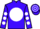Horse Profile - Code Purple