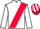 Horse Profile - Final Voyage
