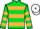 Horse Profile - Ho My Lord