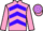 Horse Profile - Londonofficecallin
