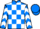 Horse Profile - Maria Branwell