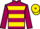 Horse Profile - New Endeavour