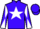 Horse Profile - Ocean Star