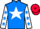 Horse Profile - White Caviar