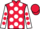 Horse Profile - Zealandia