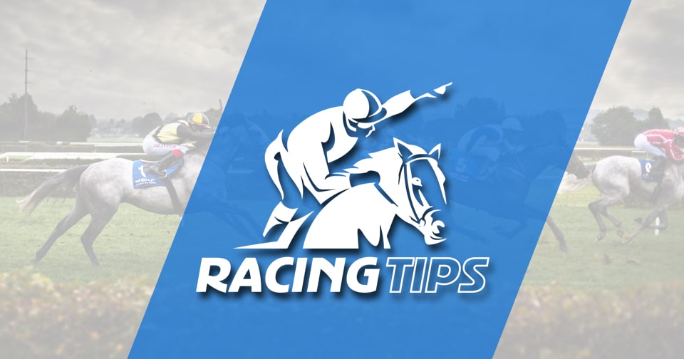 HORSE RACING TIPS